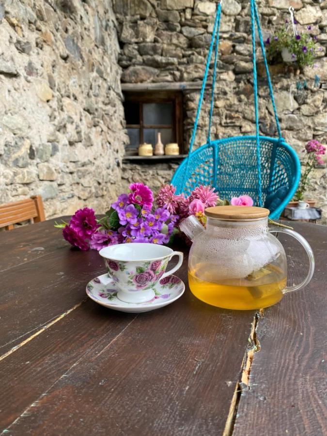 Iuri Udesiani'S Guesthouse Mestia Exteriér fotografie